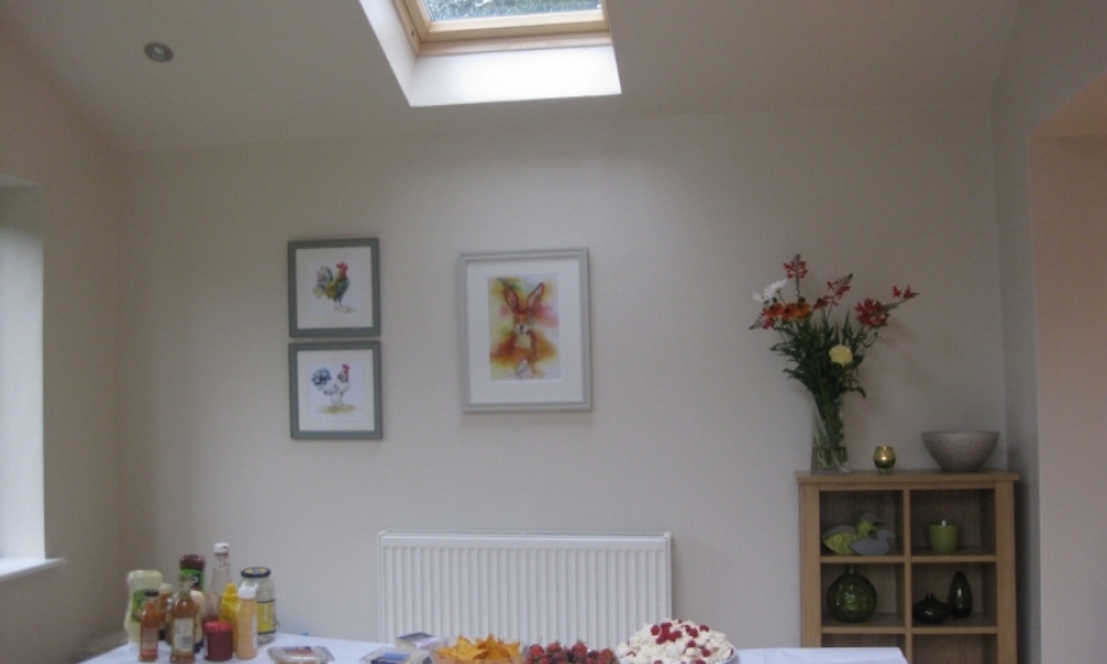 Single storey rear extension